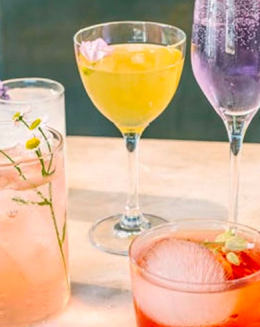 DRINKS_tonon2