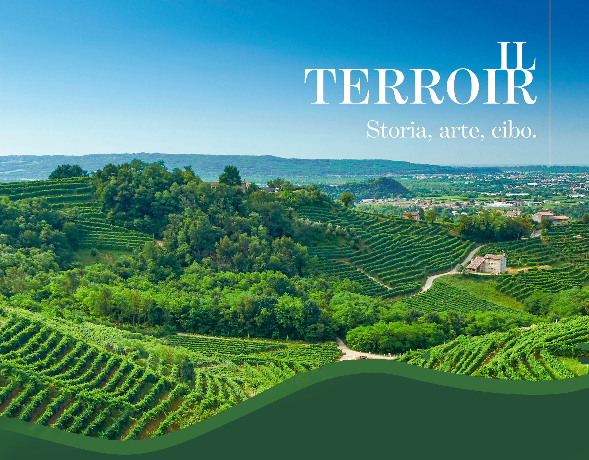 Head_territorio_vini_tonon