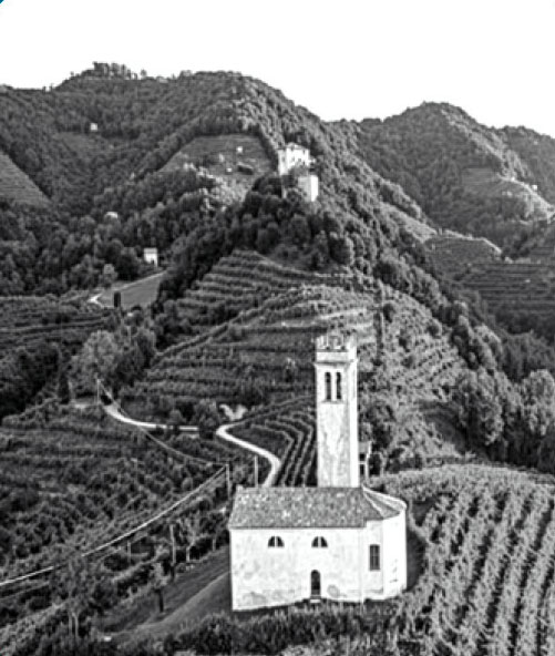 foto_col_san_martino